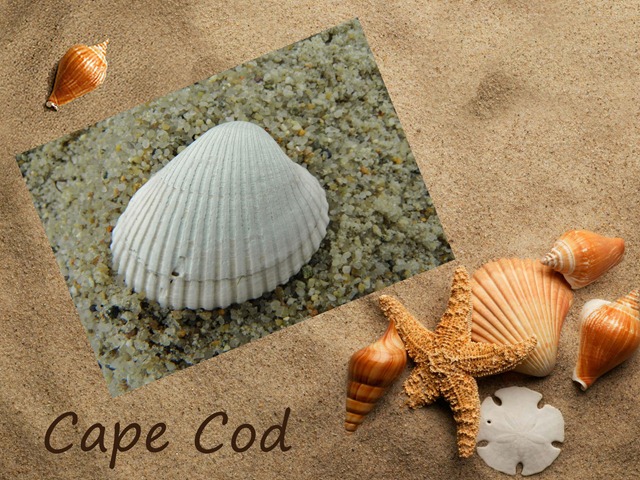 [Cape Cod[3].jpg]