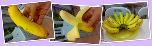 View pisang