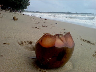 [pantai-carita-1[3].jpg]