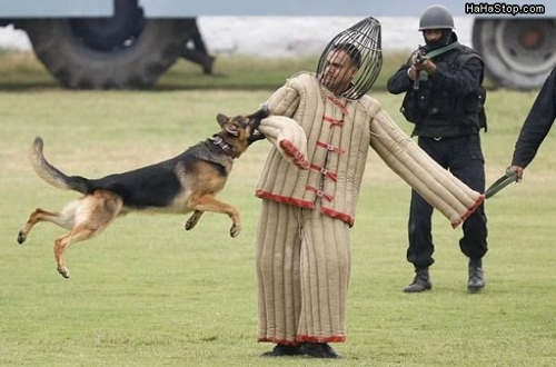 [ImagensdaSemana611013.jpg]