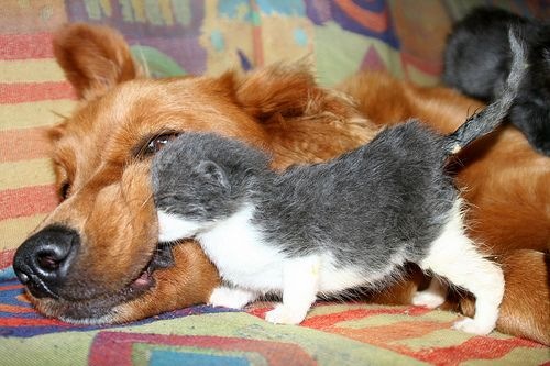 [Imagens da Semana 37 (6)[5].jpg]