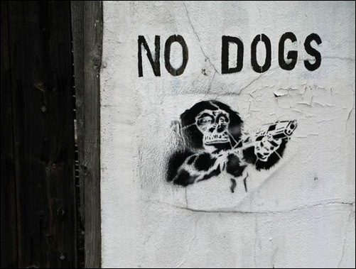 Imagens da Semana 41 (35)