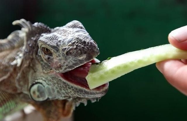 [Imagens da Semana 41 (51)[6].jpg]