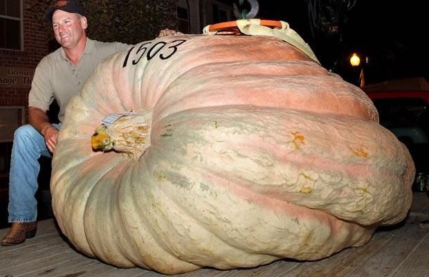 [Imagens da Semana 46 (26)[5].jpg]