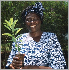 Prof Maathai 3