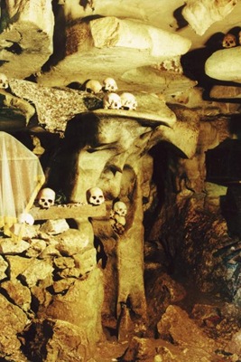 105_skull