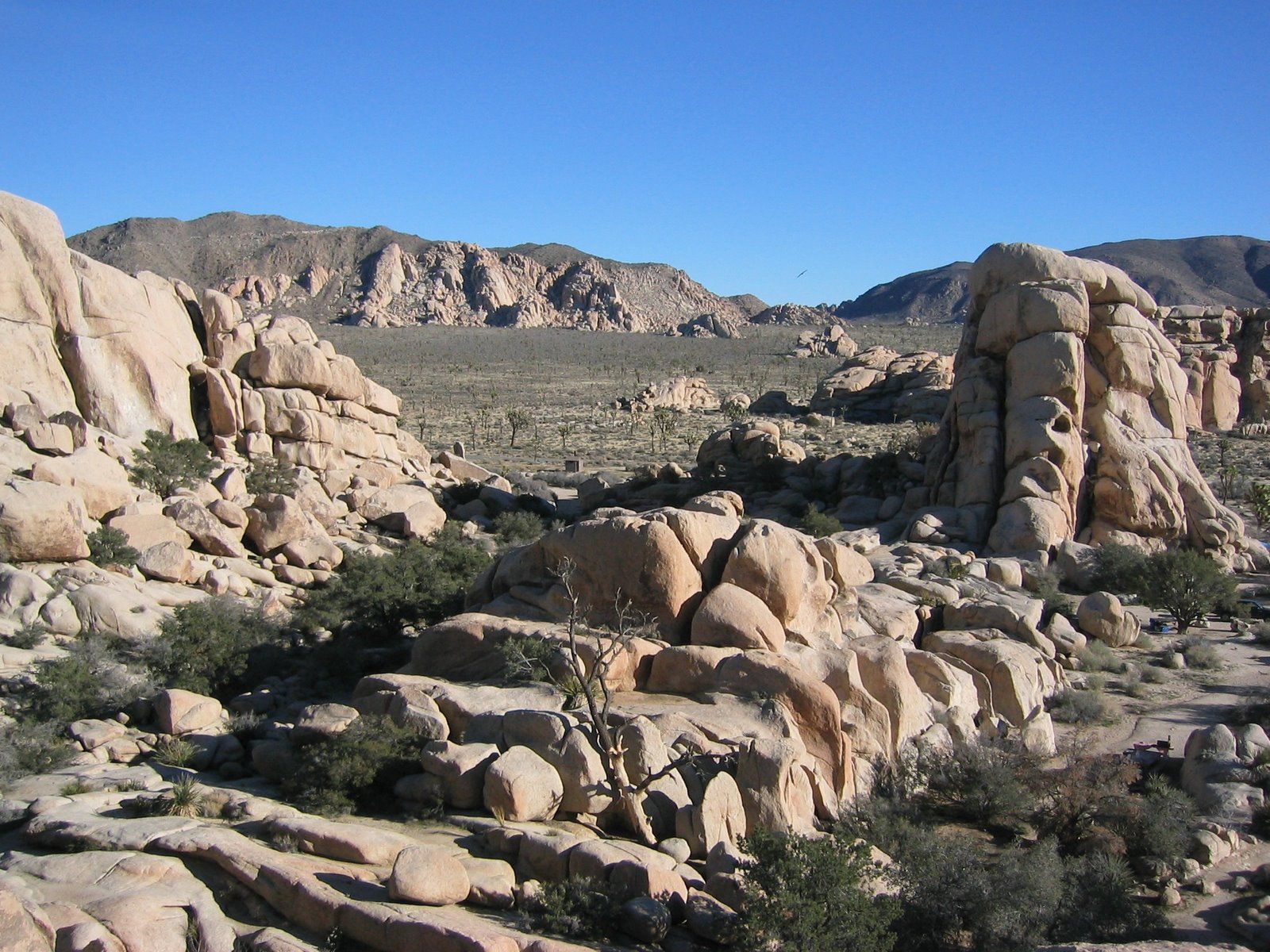 [2004_01_02 042[2].jpg]