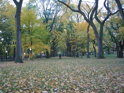 2004_11_06 042