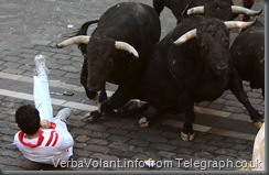 Pamplona Bull