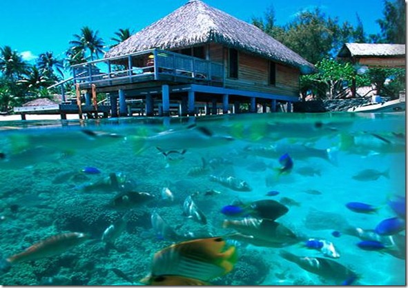 borabora2