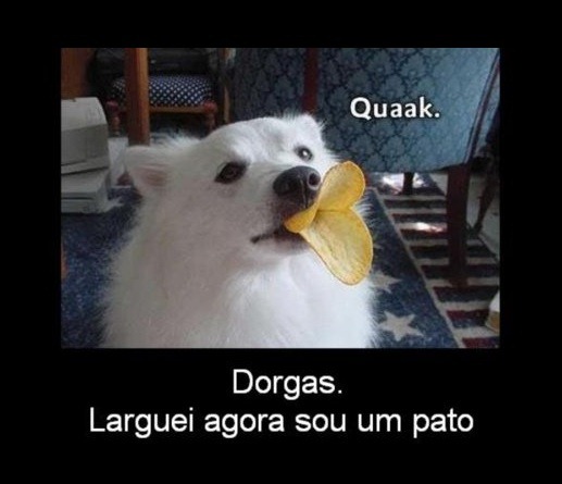 [quak[3].jpg]