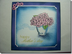 mothers day blooms mothers day blooms