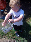 Cole2.jpg