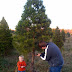 The Holiday Season Start - Season 2010