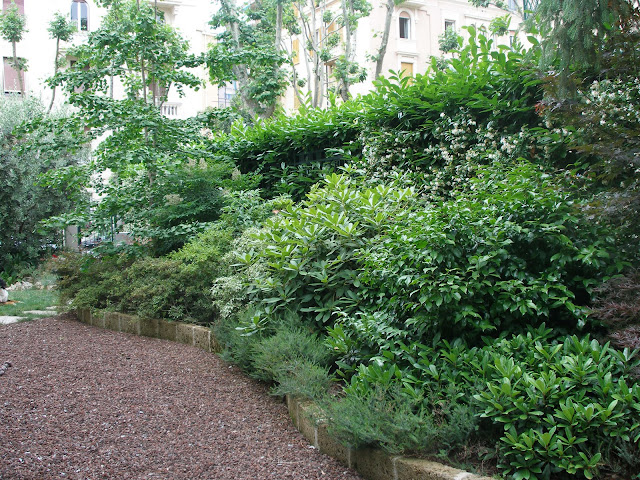 P6150001.JPG
