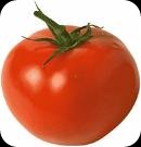 tomatos,tomat