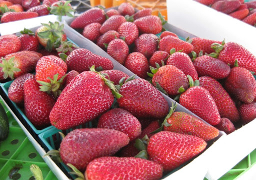 Oceanside Strawberries at the PB Farmers Market