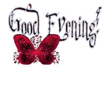Good evening