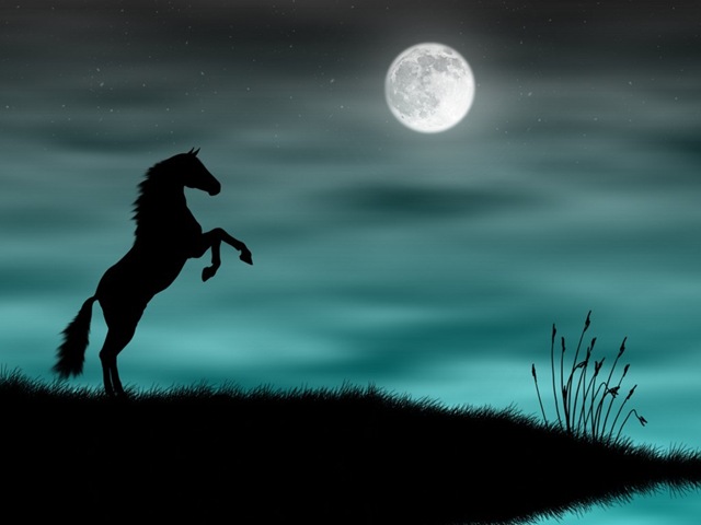[wild-horse-silhouette-in-a-blue-moonlight[7].jpg]