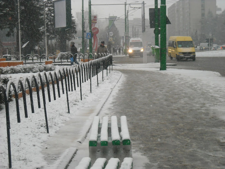 http://lh5.ggpht.com/_1fk34j8W6WU/SzkPHbt6wMI/AAAAAAAAApM/MerJeE9a5fY/s720/DSCN2462.JPG