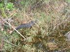 DSCN4842.JPG