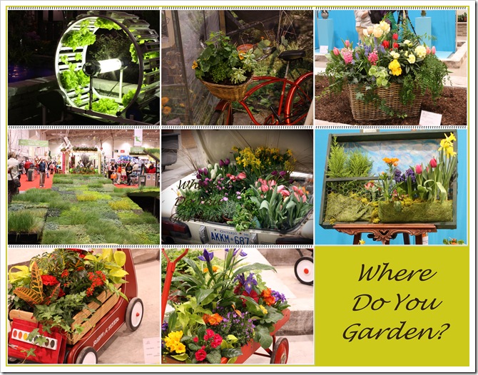 Where do you garden mosaic