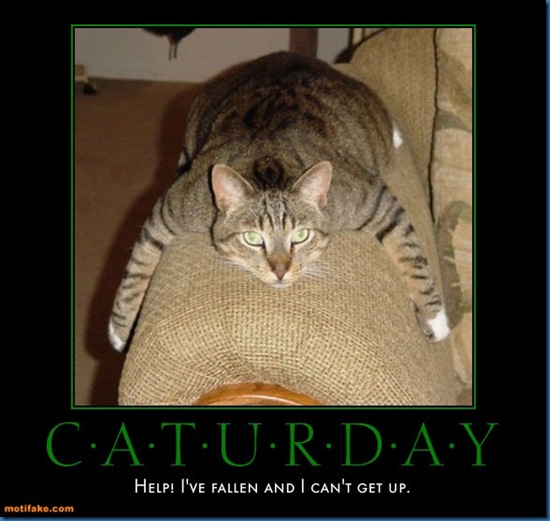 caturday-caturday-poster-day-dec18-cubby-demotivational-posters-1292707505