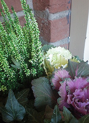 PA090014 PA090014