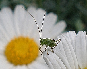 P5090010