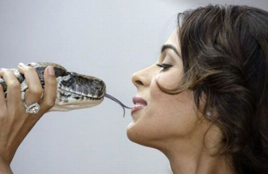 44 imagens da web