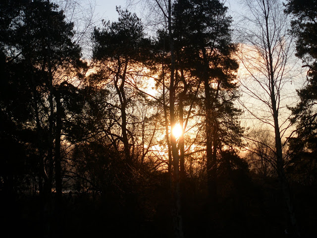 Cold Sunrise 