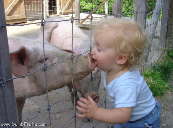[mexican_swine_flu_patient_zero[4].png]