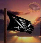pirataria p2p