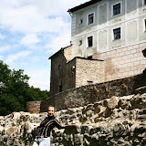 IMG_4795.jpg