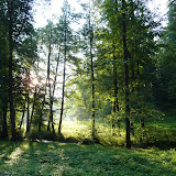P1020658.JPG