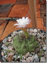 P9130345