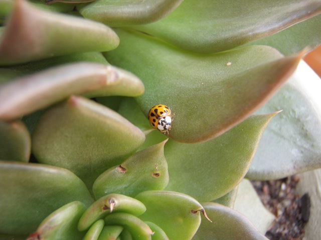 [Plantas 319[3].jpg]