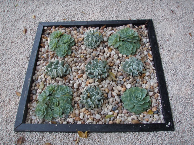 [Expoflora20090244.jpg]