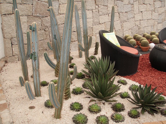 [Expoflora20090133.jpg]