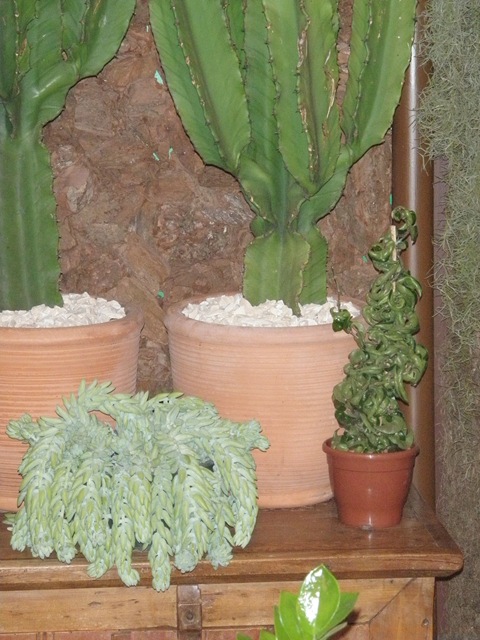 [Expoflora 2009 041.jpg]