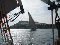 PB141658.JPG Photo