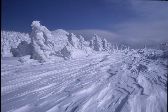 雪紋