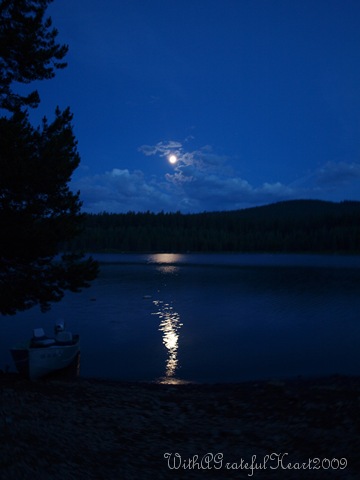 [Moonlit Lake[8].jpg]
