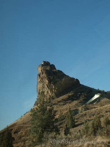 [PA0541067.jpg]