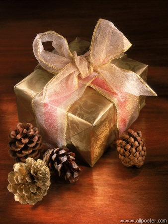 [Christmas Gift[7].jpg]