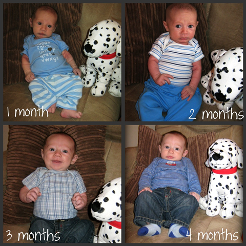 [1to4 mon collage[2].png]