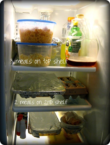 meals in fridge