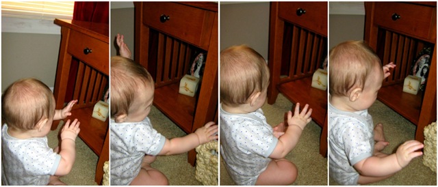 [armflappingcollage[2].jpg]