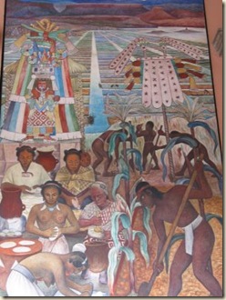 mural, cultivo