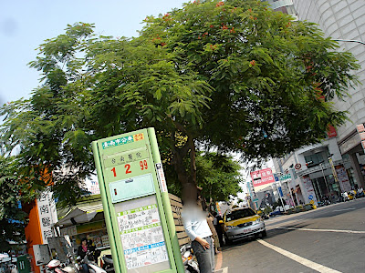 點選可看原始圖檔